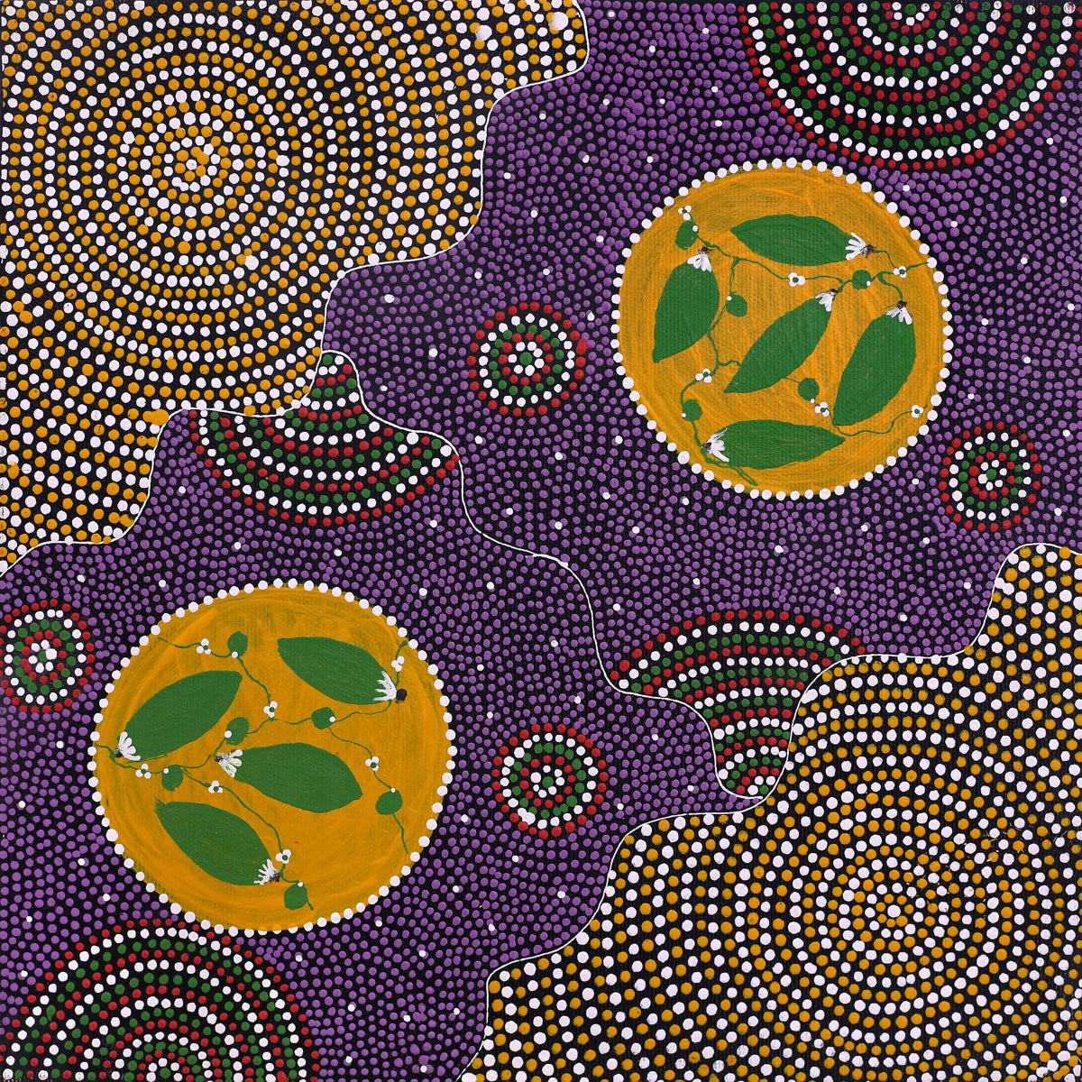 Aboriginal Art by Louise Nungarrayi Long, Yuparli Jukurrpa (Bush Banana Dreaming), 30x30cm - ART ARK®