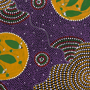 Aboriginal Artwork by Louise Nungarrayi Long, Yuparli Jukurrpa (Bush Banana Dreaming), 30x30cm - ART ARK®