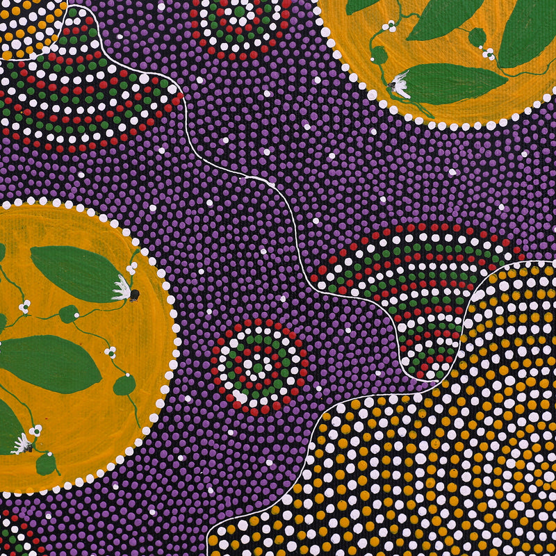 Aboriginal Artwork by Louise Nungarrayi Long, Yuparli Jukurrpa (Bush Banana Dreaming), 30x30cm