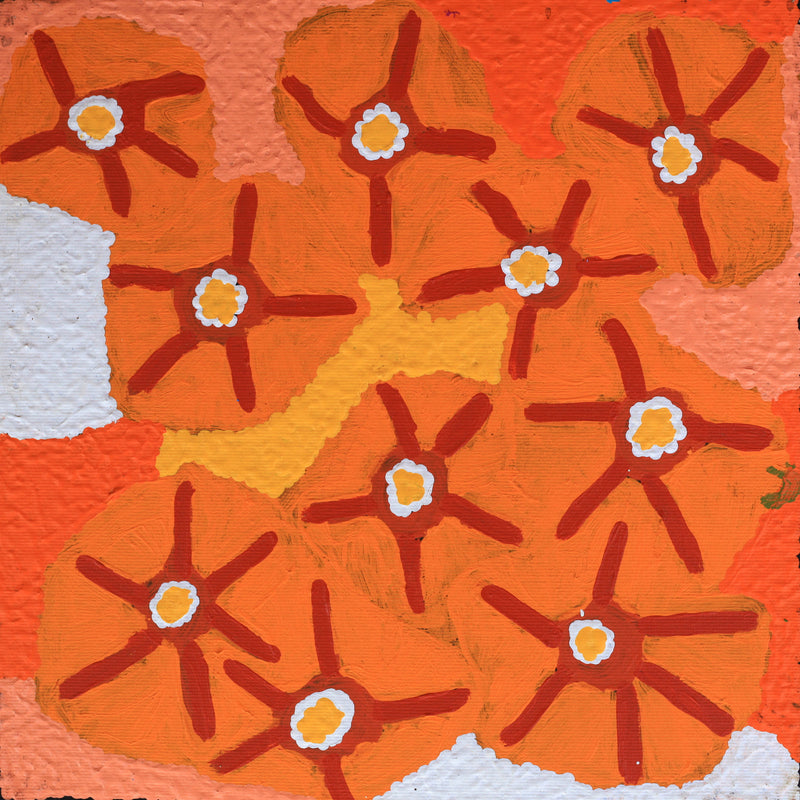 Aboriginal Artwork by Lucky Nampijinpa Langdon, Watiya-warnu Jukurrpa (Seed Dreaming), 30x30cm