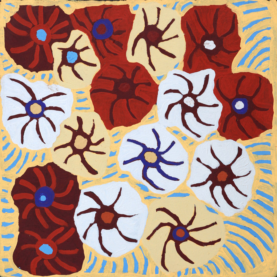 Aboriginal Artwork by Lucky Nampijinpa Langdon, Watiya-warnu Jukurrpa (Seed Dreaming), 46x46cm