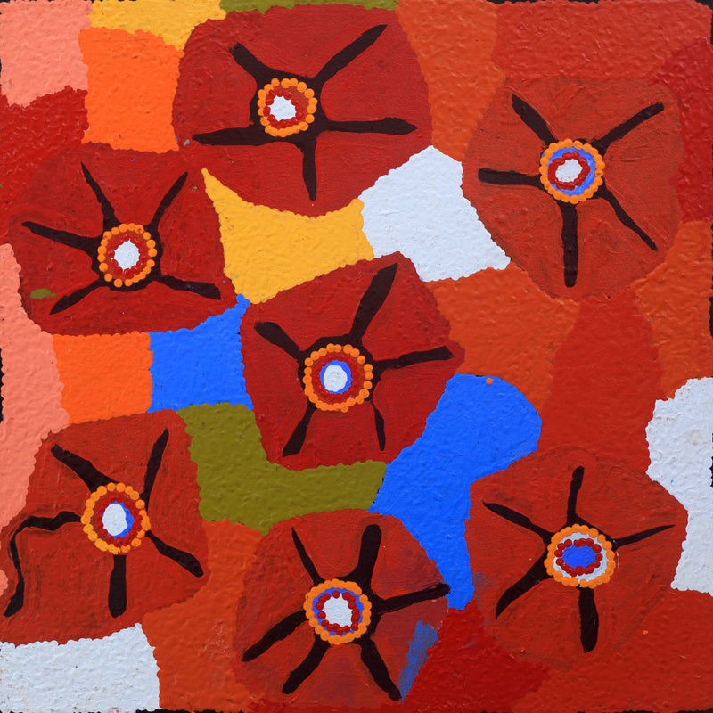 Aboriginal Artwork by Lucky Nampijinpa Langdon, Watiya-warnu Jukurrpa (Seed Dreaming), 46x46cm