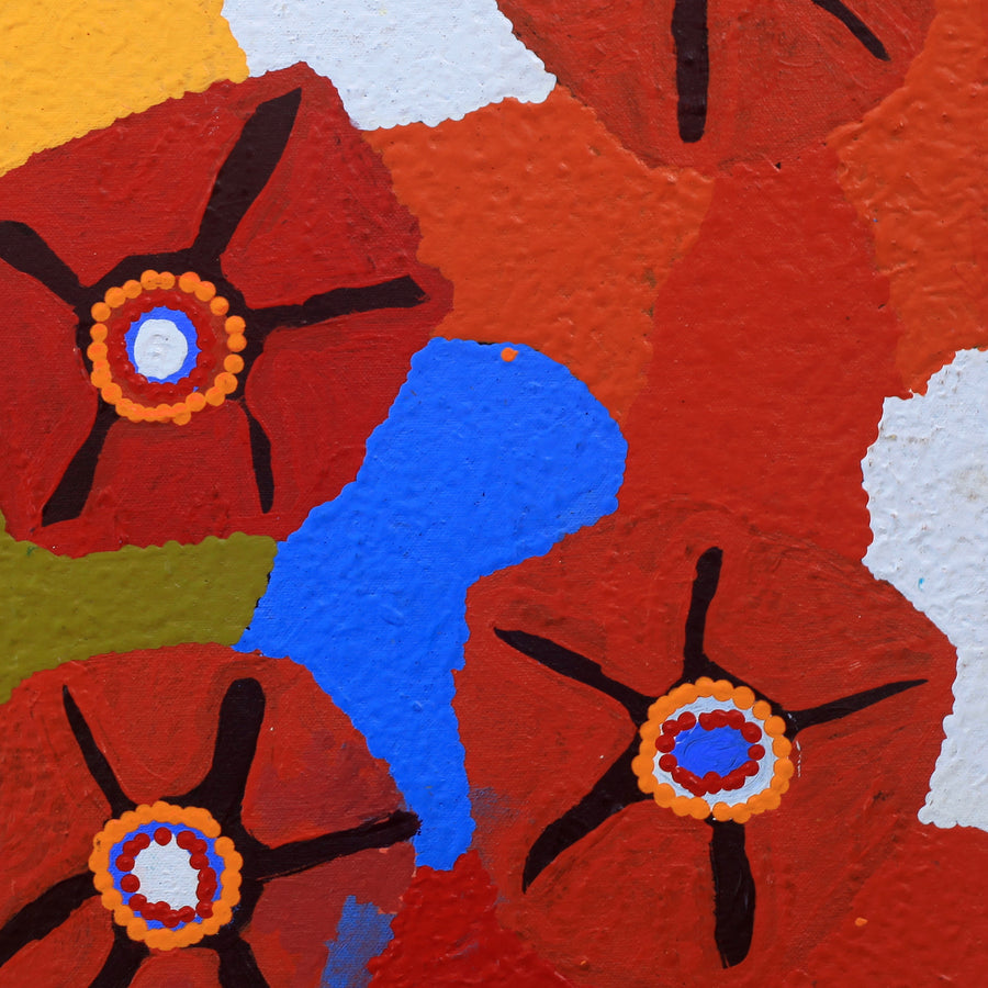 Aboriginal Artwork by Lucky Nampijinpa Langdon, Watiya-warnu Jukurrpa (Seed Dreaming), 46x46cm