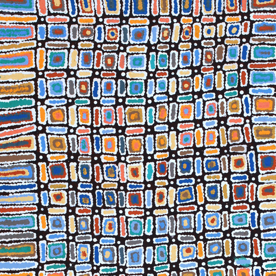 Aboriginal Artwork by Lynette Nangala Singleton, Ngapa Jukurrpa - Puyurru, 152x76cm