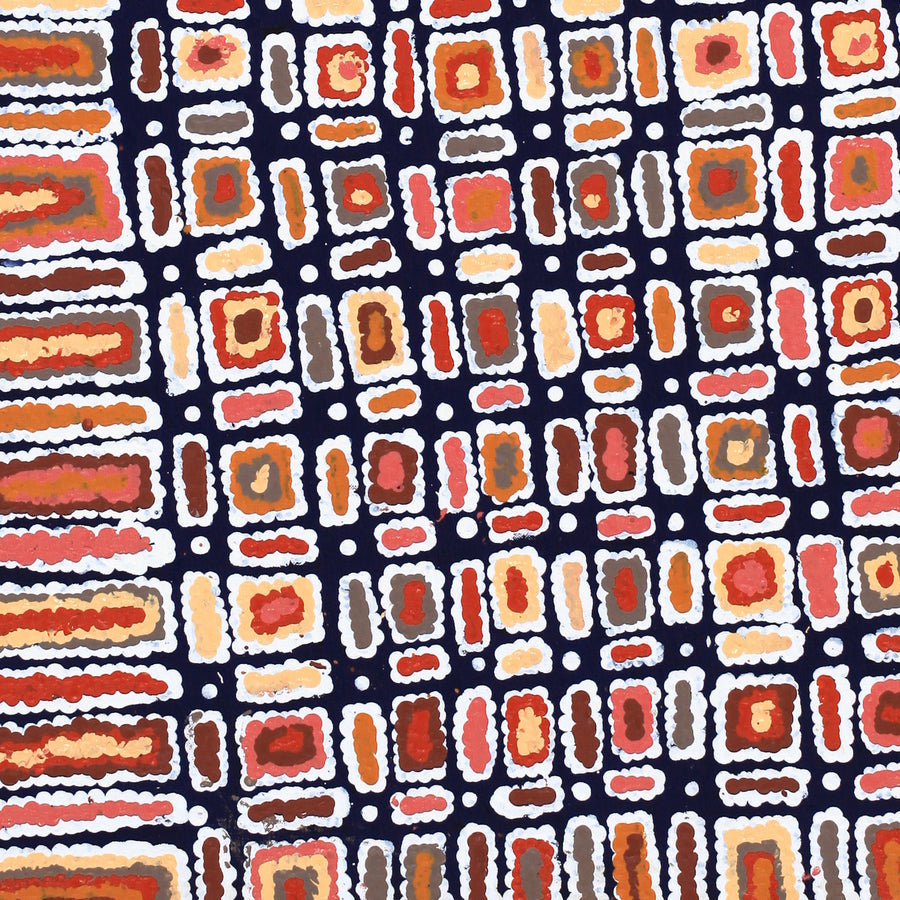 Aboriginal Artwork by Lynette Nangala Singleton, Ngapa Jukurrpa - Puyurru, 76x61cm