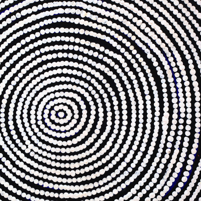 Aboriginal Artwork by Lynette Nampijinpa Granites, Ngurlu Jukurrpa (Native Seed Dreaming), 30x30cm
