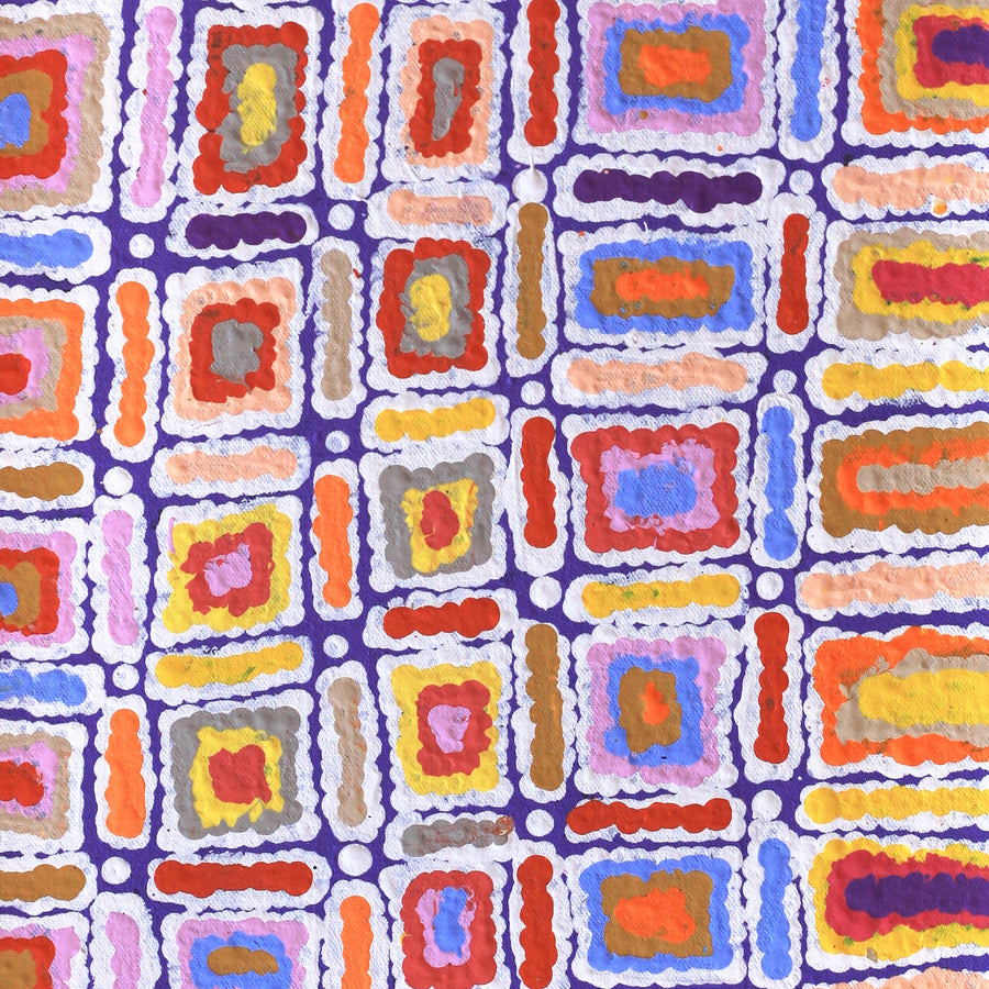 Aboriginal Artwork by Lynette Nangala Singleton, Ngapa Jukurrpa - Puyurru, 61x30cm
