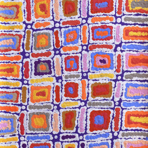 Aboriginal Artwork by Lynette Nangala Singleton, Ngapa Jukurrpa - Puyurru, 61x30cm - ART ARK®