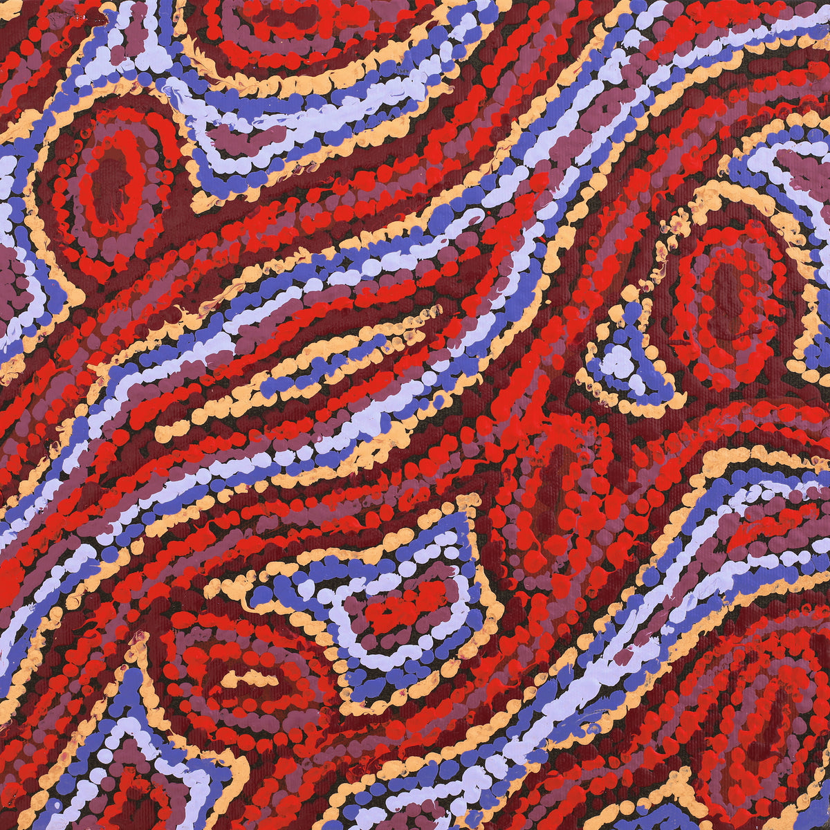 Aboriginal Art by Magda Nakamarra Curtis, Lappi Lappi Jukurrpa, 30x30cm - ART ARK®