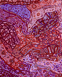 Aboriginal Art by Magda Nakamarra Curtis, Lappi Lappi Jukurrpa, 152x122cm - ART ARK®