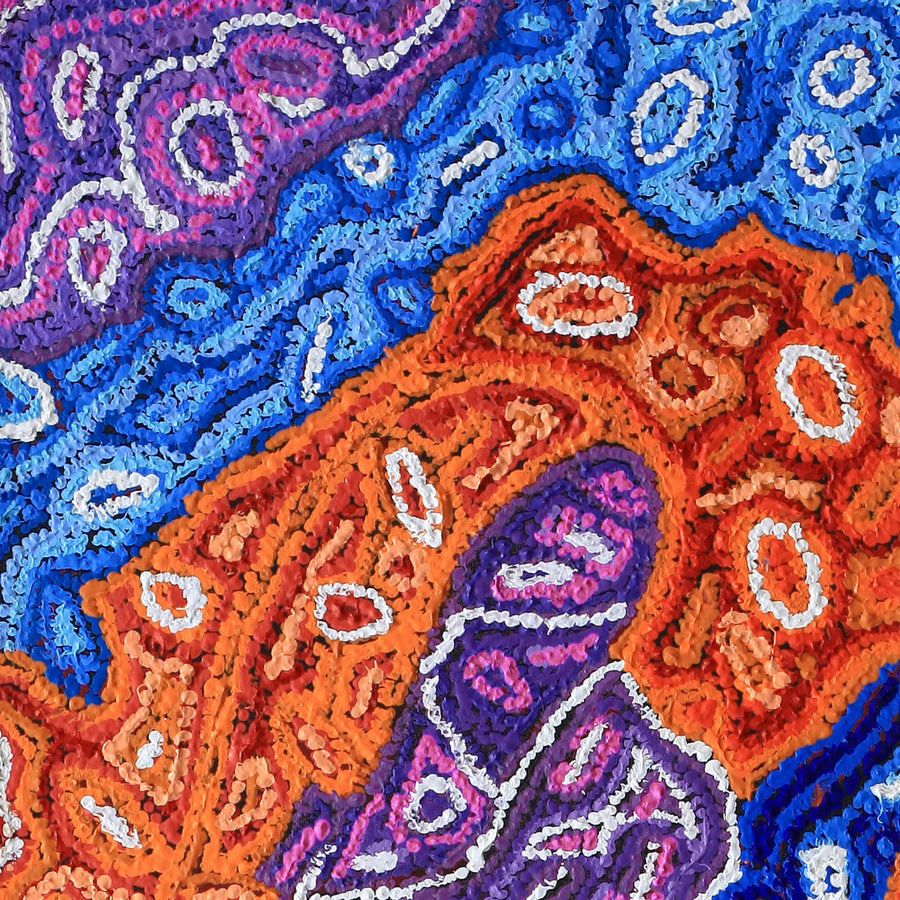 Aboriginal Artwork by Magda Nakamarra Curtis, Lappi Lappi Jukurrpa, 183x46cm