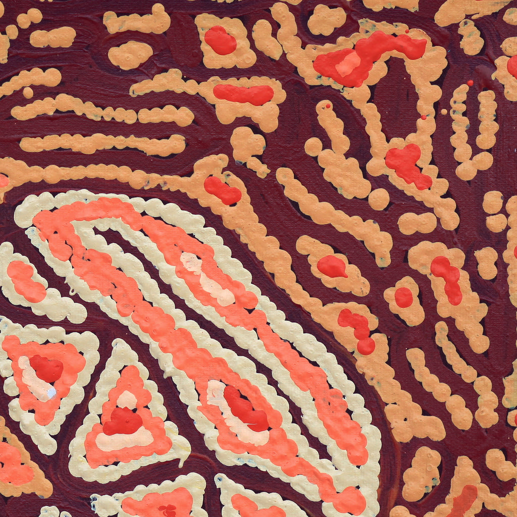 Aboriginal Artwork by Magda Nakamarra Curtis, Lappi Lappi Jukurrpa, 30x30cm