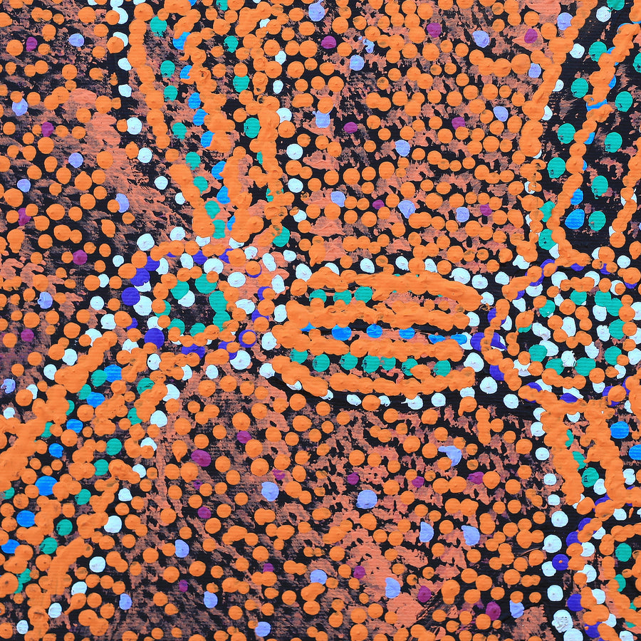 Aboriginal Artwork by Magda Nakamarra Curtis, Lappi Lappi Jukurrpa, 30x30cm