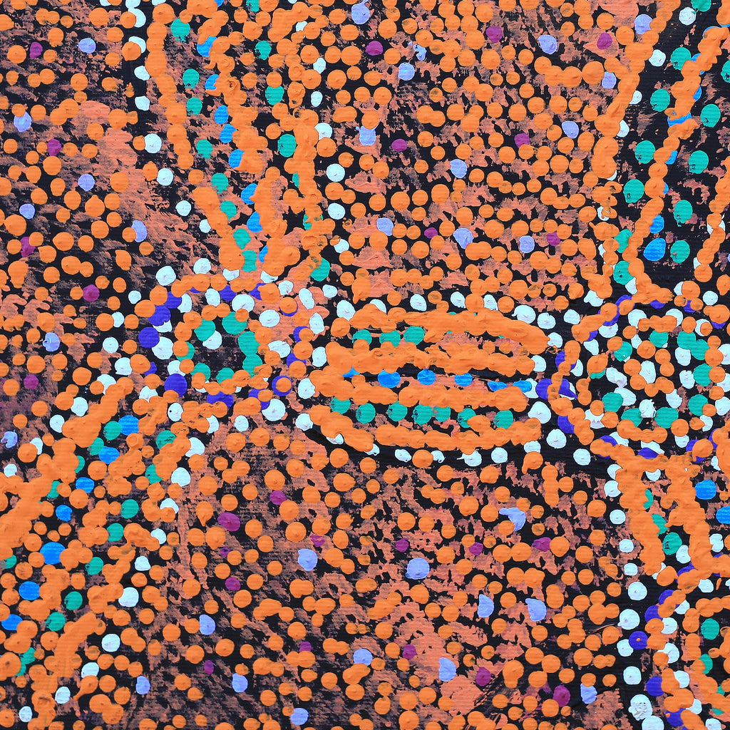 Aboriginal Artwork by Magda Nakamarra Curtis, Lappi Lappi Jukurrpa, 30x30cm