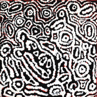 Aboriginal Artwork by Magda Nakamarra Curtis, Lappi Lappi Jukurrpa, 30x30cm