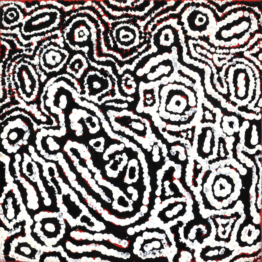 Aboriginal Artwork by Magda Nakamarra Curtis, Lappi Lappi Jukurrpa, 30x30cm