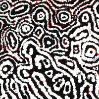 Aboriginal Artwork by Magda Nakamarra Curtis, Lappi Lappi Jukurrpa, 30x30cm