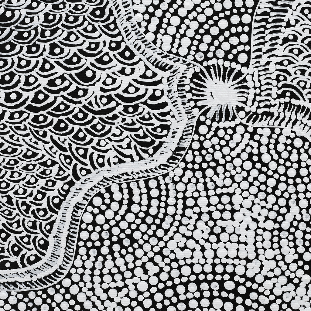 Aboriginal Artwork by Maggie Napangardi Williams, Janmarda Jukurrpa (Bush Onion Dreaming), 30x30cm