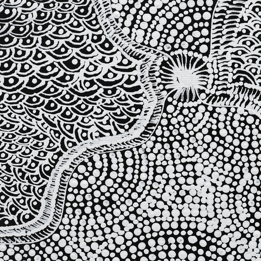 Aboriginal Artwork by Maggie Napangardi Williams, Janmarda Jukurrpa (Bush Onion Dreaming), 30x30cm