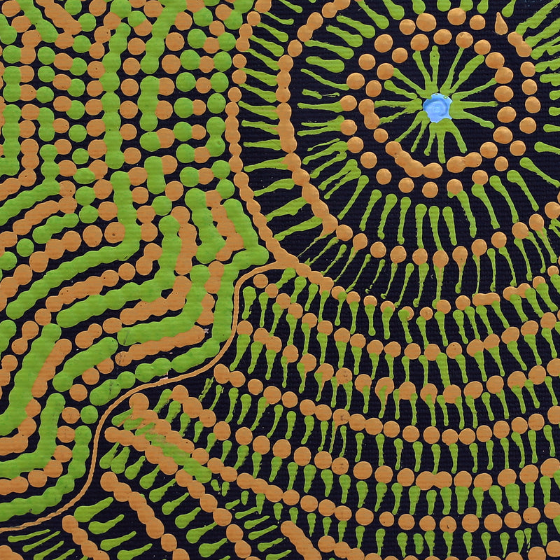 Aboriginal Artwork by Maggie Napangardi Williams, Janmarda Jukurrpa (Bush Onion Dreaming), 30x30cm