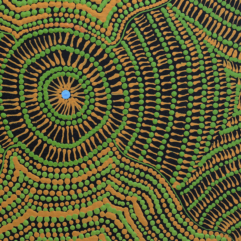 Aboriginal Artwork by Maggie Napangardi Williams, Janmarda Jukurrpa (Bush Onion Dreaming), 30x30cm