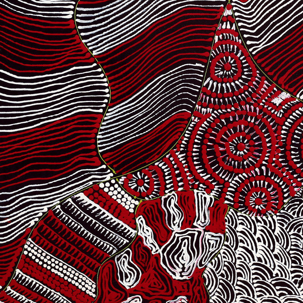 Aboriginal Artwork by Maggie Napangardi Williams, Janmarda Jukurrpa (Bush Onion Dreaming), 40x40cm