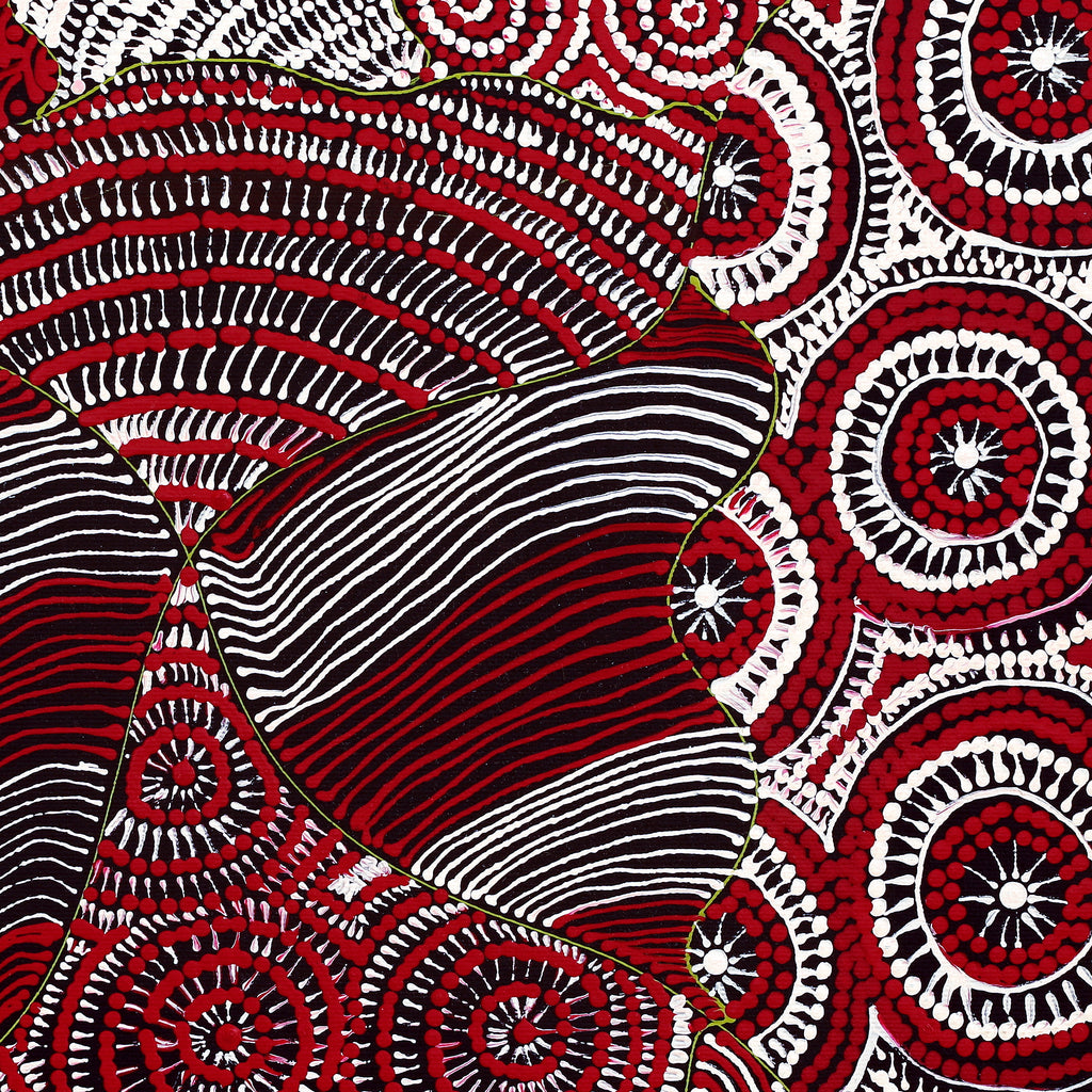 Aboriginal Artwork by Maggie Napangardi Williams, Janmarda Jukurrpa (Bush Onion Dreaming), 40x40cm