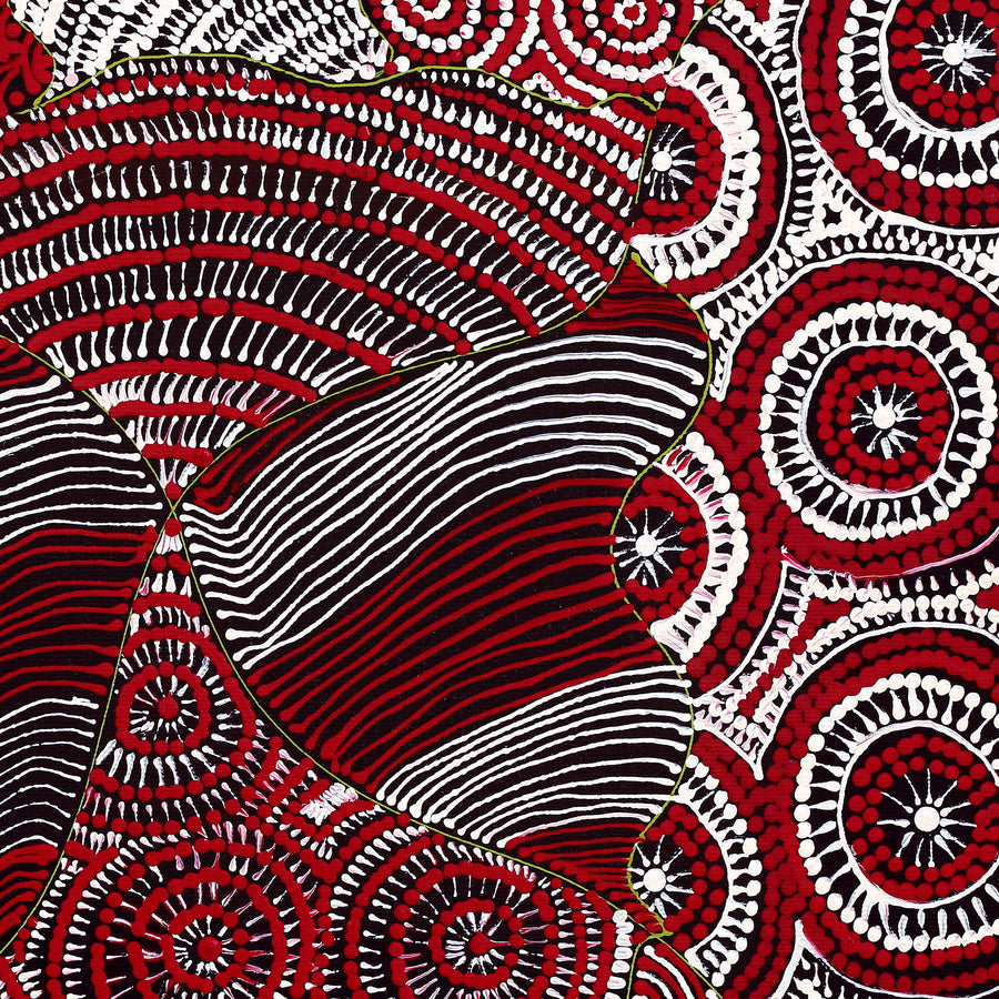 Aboriginal Artwork by Maggie Napangardi Williams, Janmarda Jukurrpa (Bush Onion Dreaming), 40x40cm