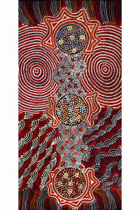 Aboriginal Artwork by Maggie Napangardi Williams, Janmarda Jukurrpa (Bush Onion Dreaming), 61x30cm