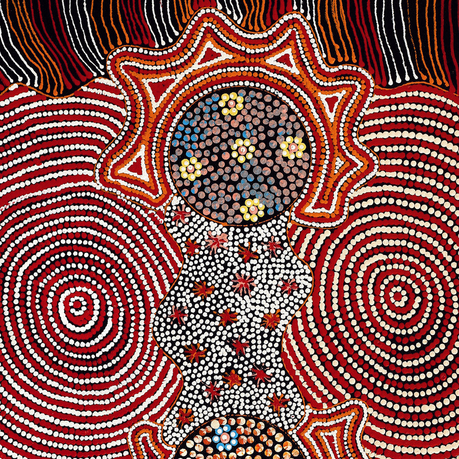 Aboriginal Artwork by Maggie Napangardi Williams, Janmarda Jukurrpa (Bush Onion Dreaming), 61x30cm