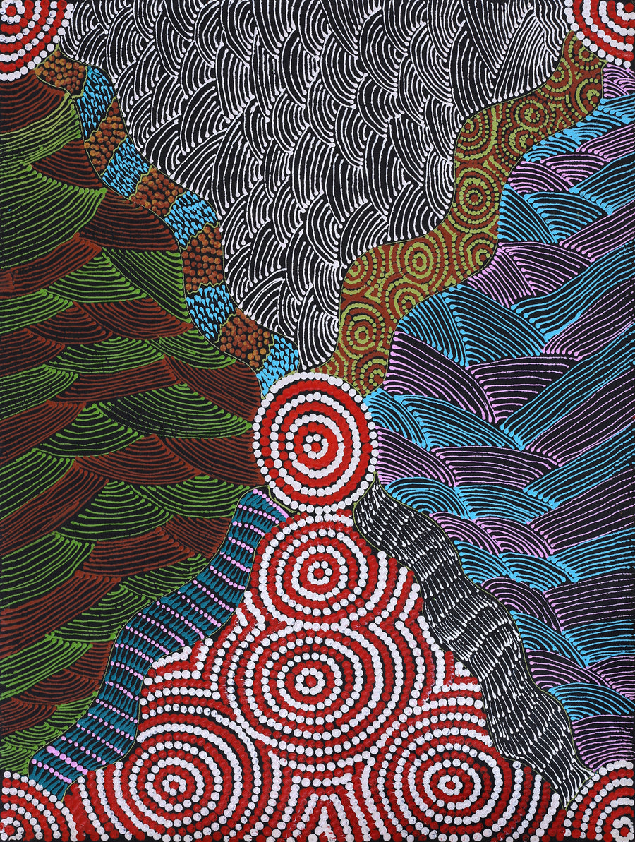 Aboriginal Artwork by Maggie Napangardi Williams, Janmarda Jukurrpa (Bush Onion Dreaming), 61x46cm