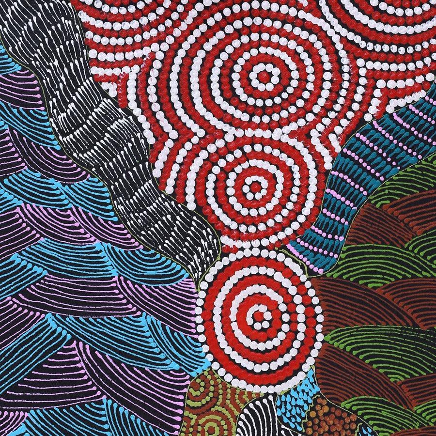 Aboriginal Artwork by Maggie Napangardi Williams, Janmarda Jukurrpa (Bush Onion Dreaming), 61x46cm