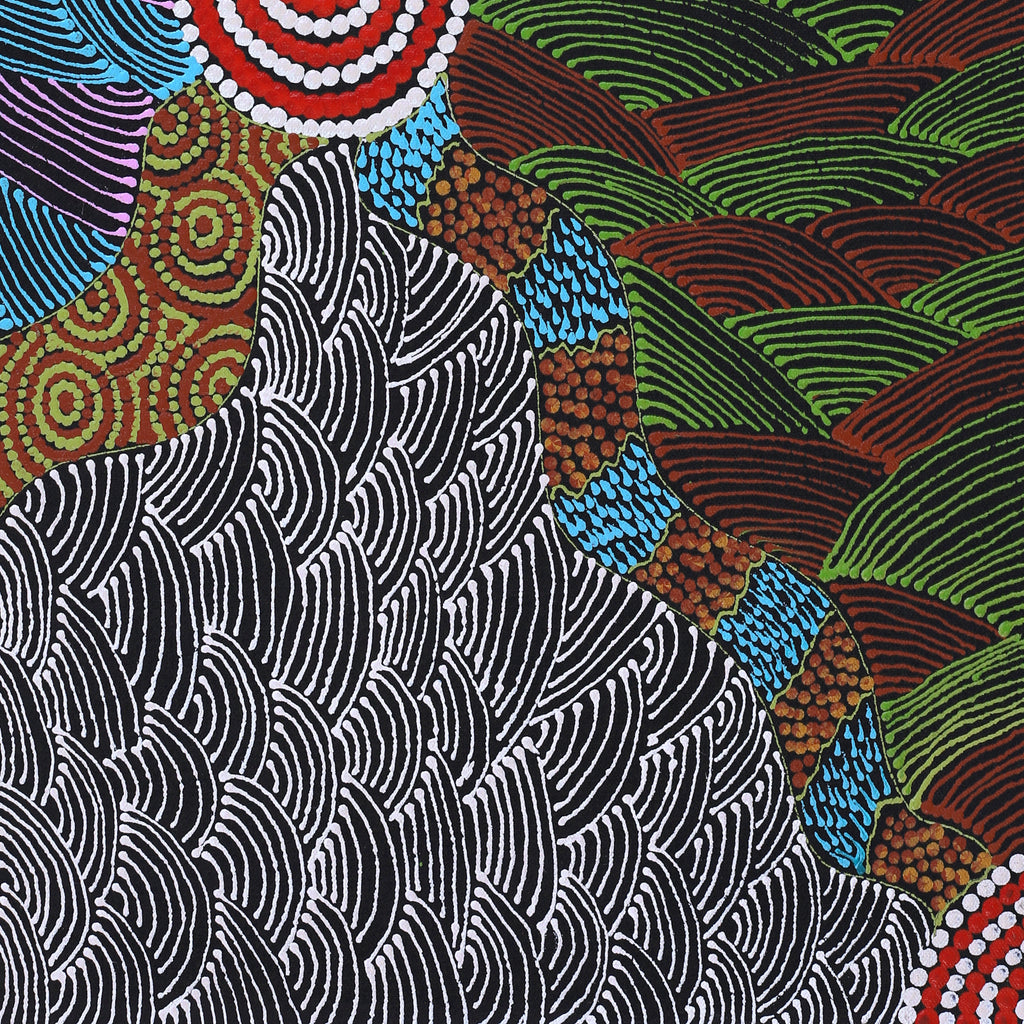 Aboriginal Artwork by Maggie Napangardi Williams, Janmarda Jukurrpa (Bush Onion Dreaming), 61x46cm