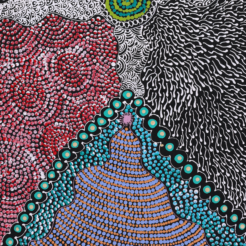 Aboriginal Artwork by Maggie Napangardi Williams, Janmarda Jukurrpa (Bush Onion Dreaming), 91x46cm