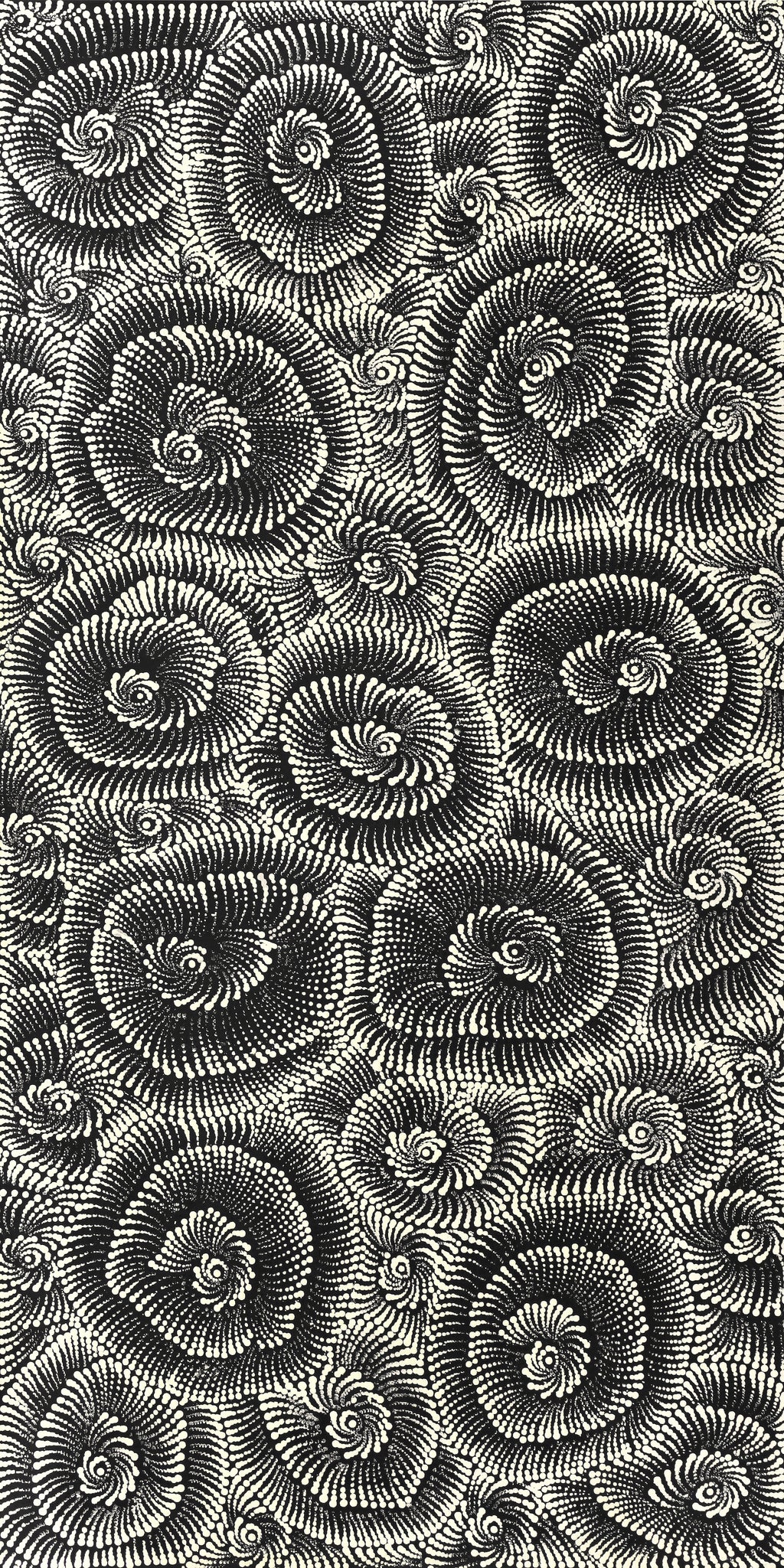 Aboriginal Artwork by Maria Nampijinpa Brown, Pamapardu Jukurrpa (Flying Ant Dreaming) - Warntungurru, 122x61cm