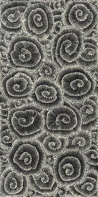 Aboriginal Artwork by Maria Nampijinpa Brown, Pamapardu Jukurrpa (Flying Ant Dreaming) - Warntungurru, 122x61cm