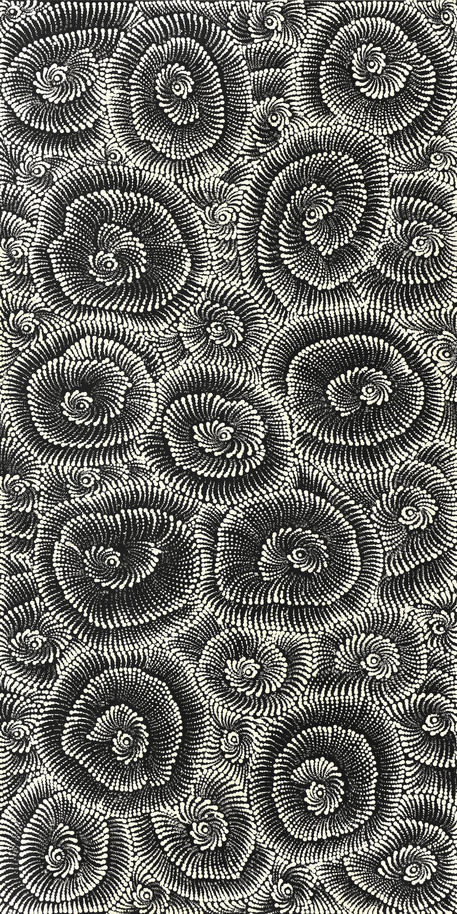 Aboriginal Artwork by Maria Nampijinpa Brown, Pamapardu Jukurrpa (Flying Ant Dreaming) - Warntungurru, 122x61cm