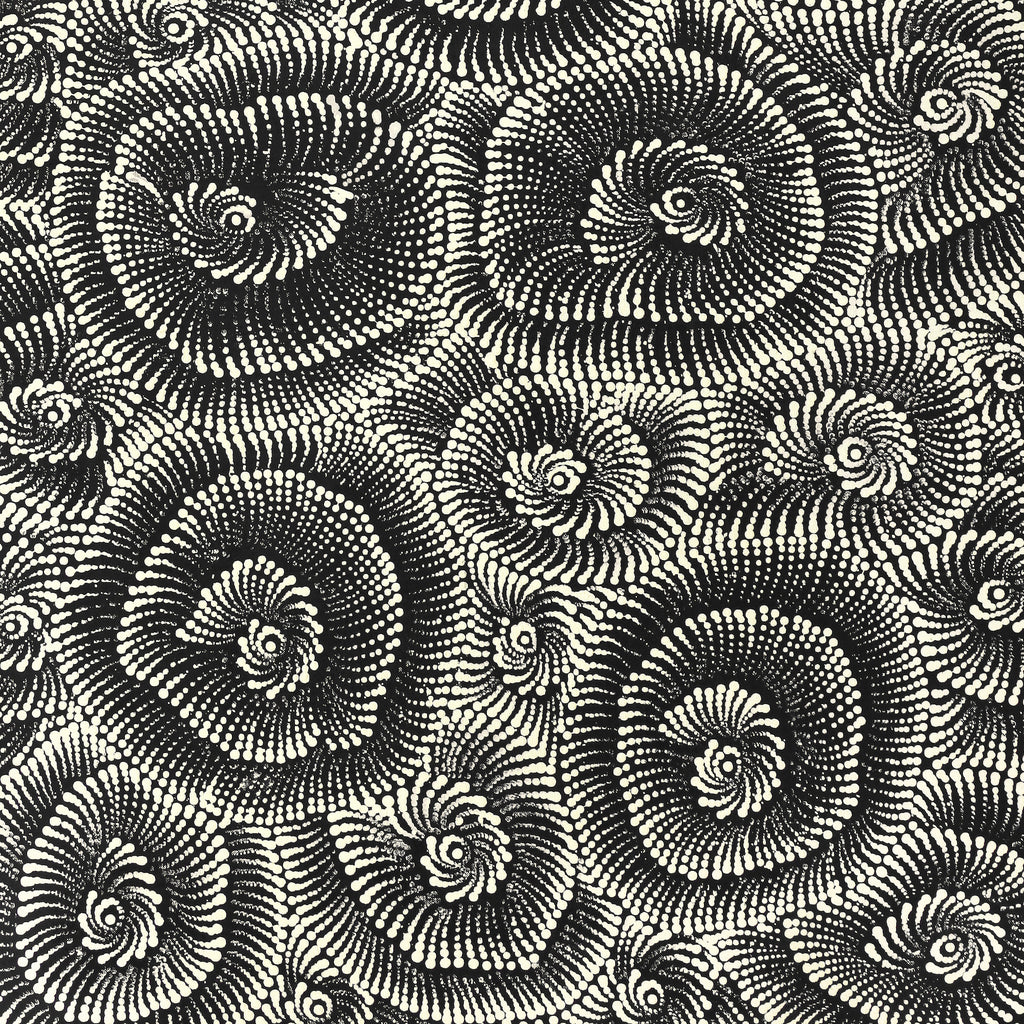 Aboriginal Artwork by Maria Nampijinpa Brown, Pamapardu Jukurrpa (Flying Ant Dreaming) - Warntungurru, 122x61cm