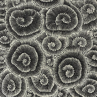 Aboriginal Artwork by Maria Nampijinpa Brown, Pamapardu Jukurrpa (Flying Ant Dreaming) - Warntungurru, 122x61cm