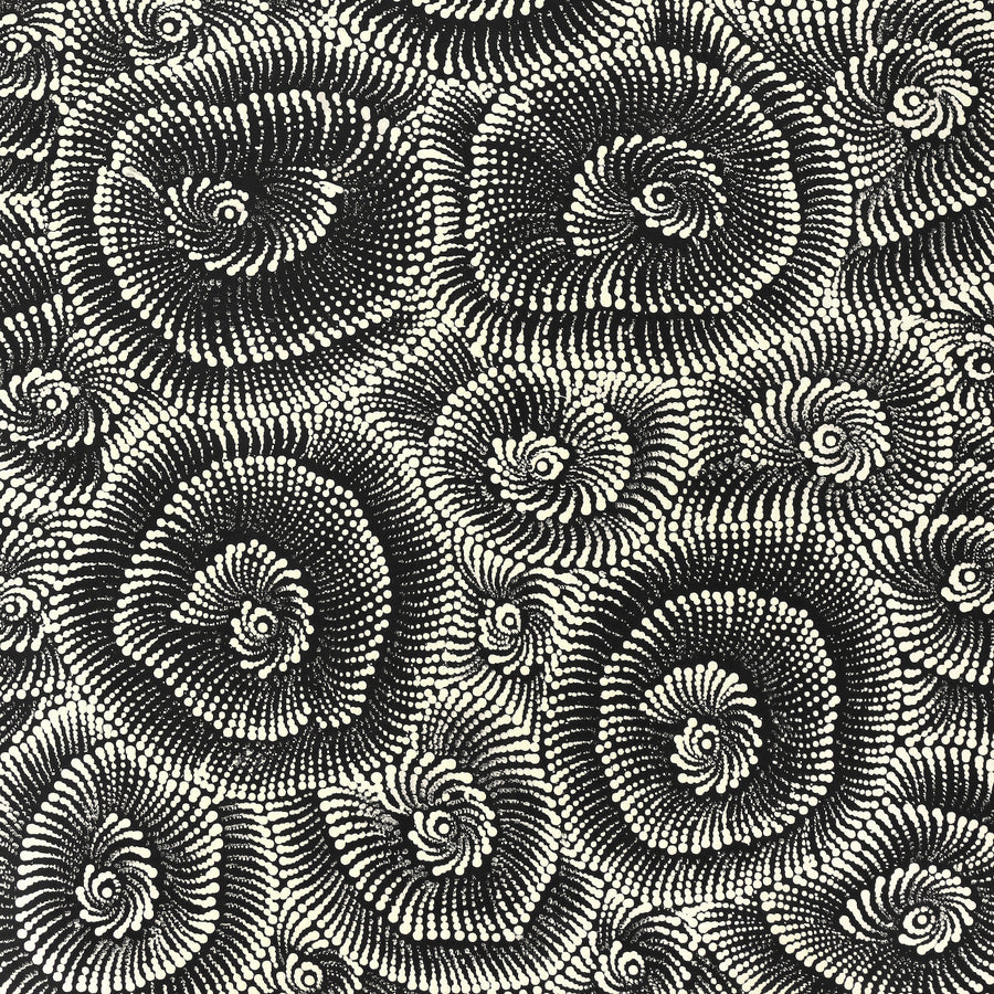 Aboriginal Artwork by Maria Nampijinpa Brown, Pamapardu Jukurrpa (Flying Ant Dreaming) - Warntungurru, 122x61cm