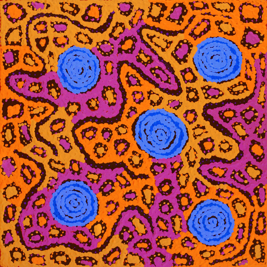 Aboriginal Artwork by Maisie Nungarrayi Ward, Kurrkara Jukurrpa (Desert Oak Dreaming) - Mina Mina, 30x30cm