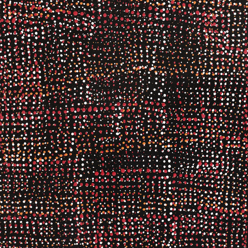 Aboriginal Artwork by Maitland Jupurrula Nelson, Patterns of the Landscape around Yuendumu, 61x30cm