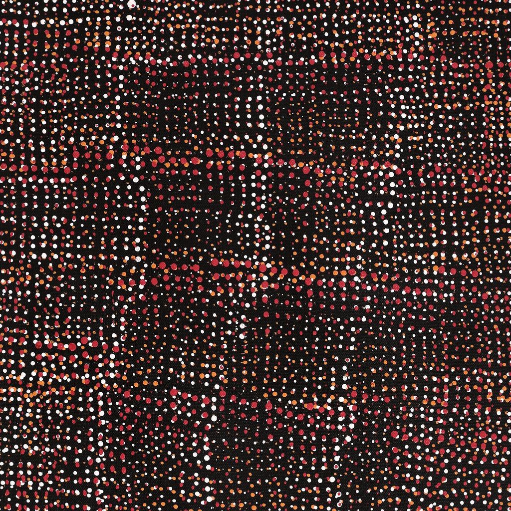 Aboriginal Artwork by Maitland Jupurrula Nelson, Patterns of the Landscape around Yuendumu, 61x30cm