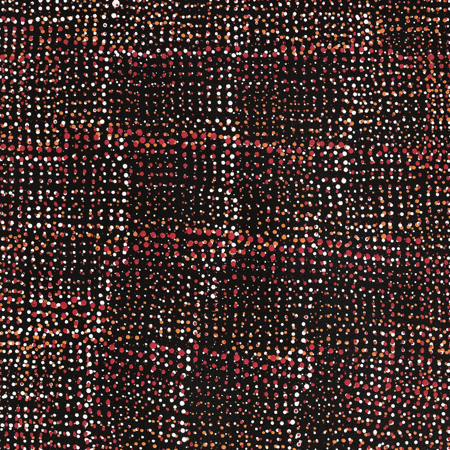 Aboriginal Artwork by Maitland Jupurrula Nelson, Patterns of the Landscape around Yuendumu, 61x30cm