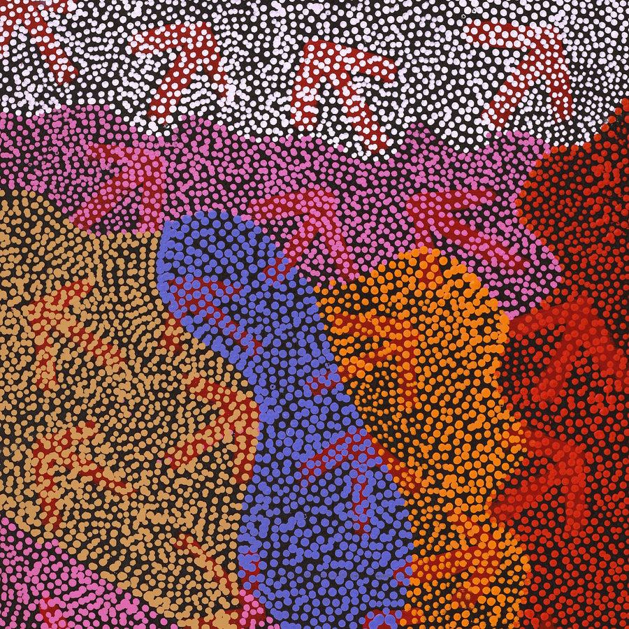 Aboriginal Artwork by Margaret Nangala Gallagher, Yankirri Jukurrpa (Emu Dreaming), 122x61cm