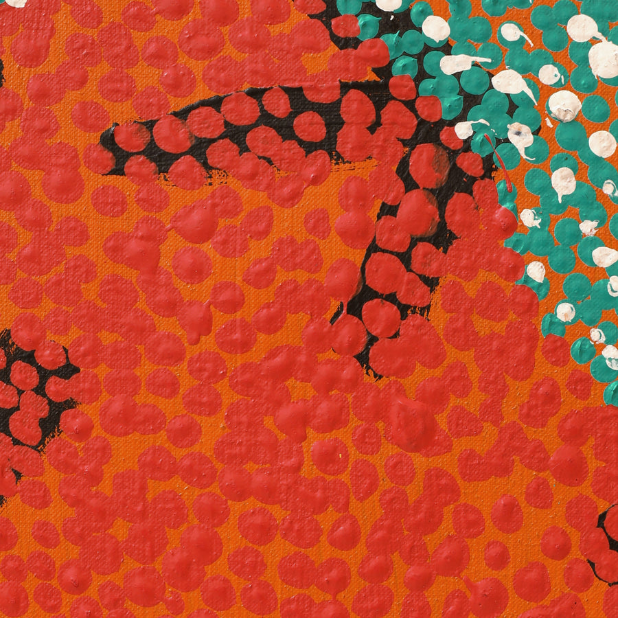 Aboriginal Artwork by Margaret Nangala Gallagher, Yankirri Jukurrpa (Emu Dreaming), 122x91cm