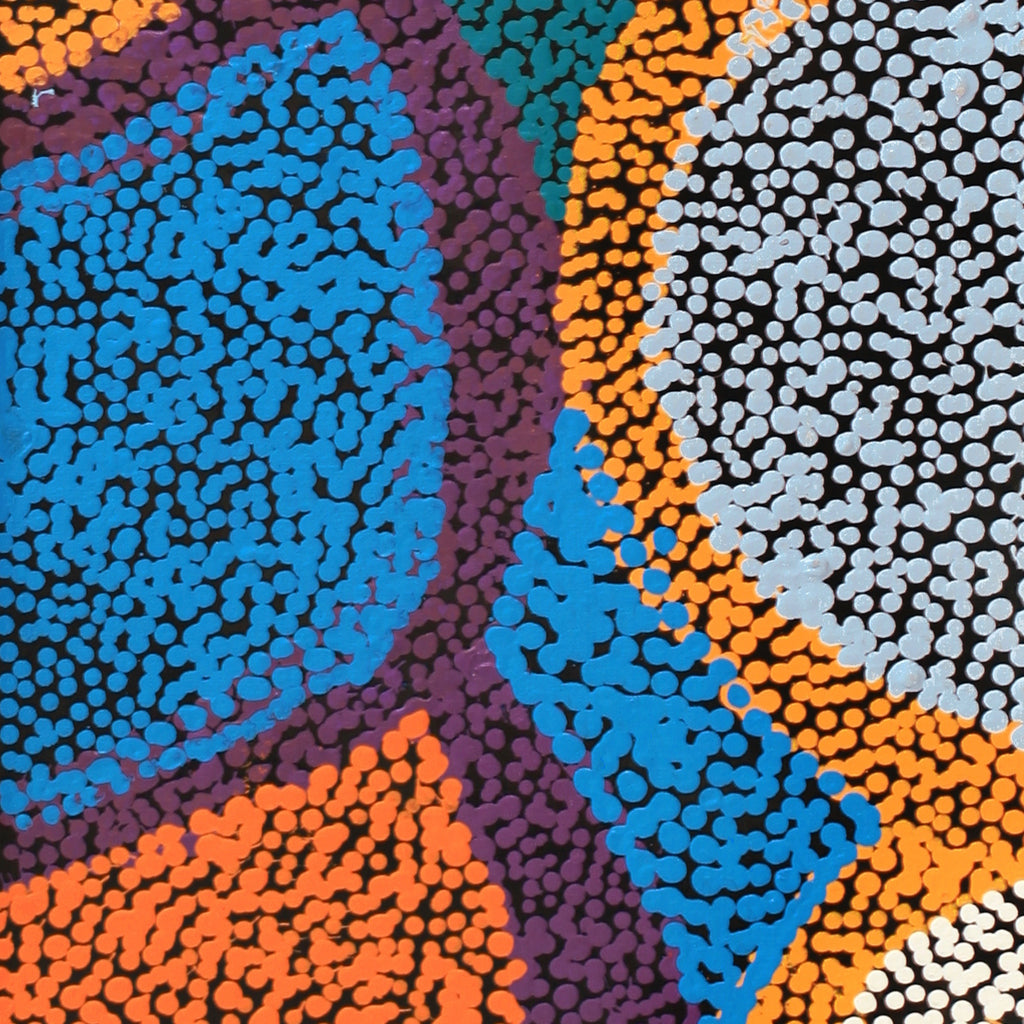 Aboriginal Artwork by Margaret Nangala Gallagher, Yankirri Jukurrpa (Emu Dreaming), 122x30cm