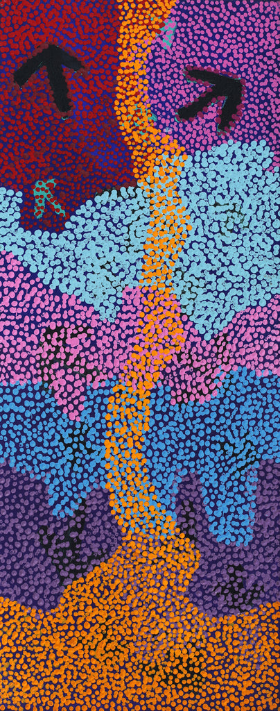 Aboriginal Artwork by Margaret Nangala Gallagher, Yankirri Jukurrpa (Emu Dreaming), 76x30cm