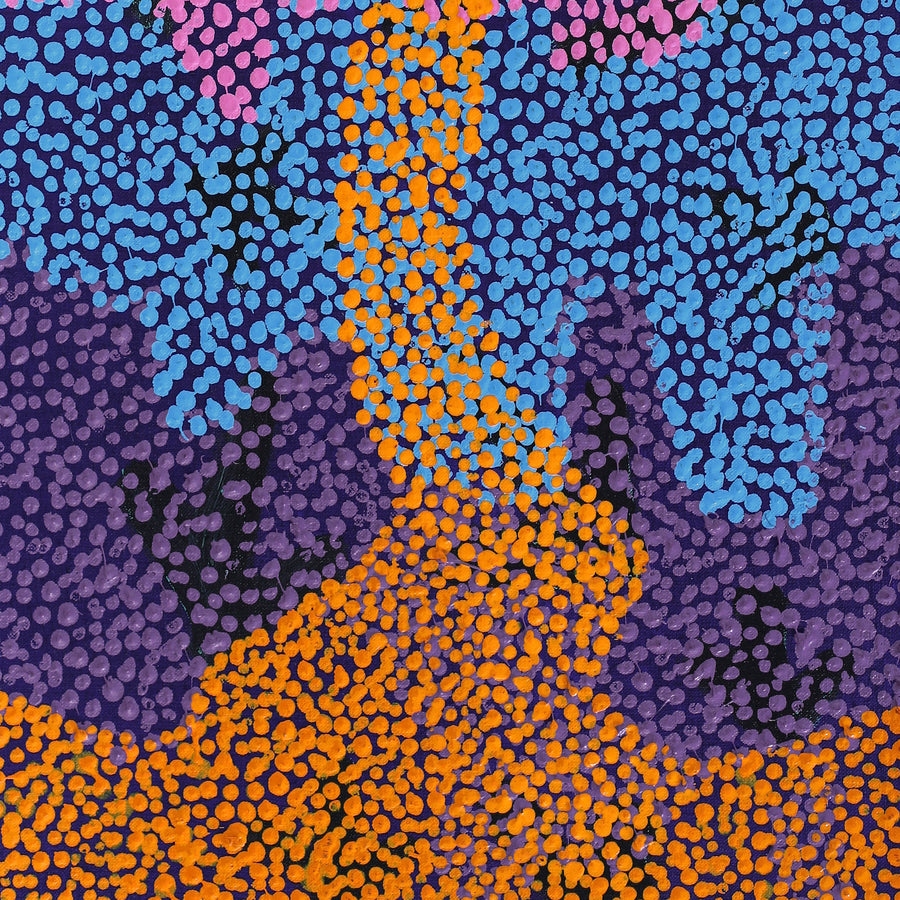 Aboriginal Artwork by Margaret Nangala Gallagher, Yankirri Jukurrpa (Emu Dreaming), 76x30cm