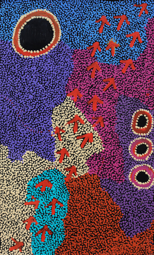 Aboriginal Artwork by Vina Nangala Gallagher, Yankirri Jukurrpa (Emu Dreaming), 76x46cm